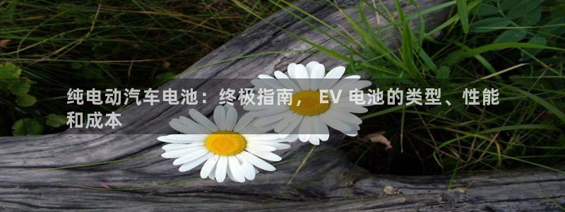 优发国际集团股份有限公司：纯电动汽车电池：终极指南， EV 电池的类型、性能
和成本