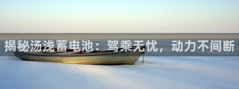 优发国际官网下载：揭秘汤浅蓄电池：驾乘无忧，动力不间断