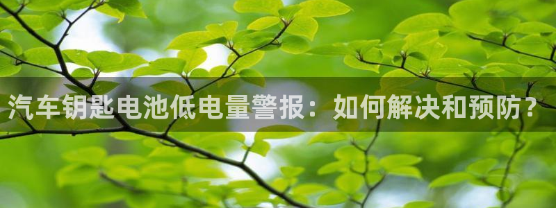 优发国际平台：汽车钥匙电池低电量警报：如何解决和预防？