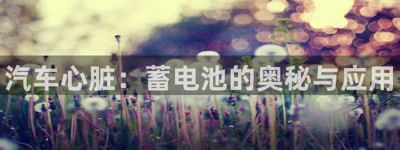 优发国际官方网手机版下载：汽车心脏：蓄电池的奥秘与应用