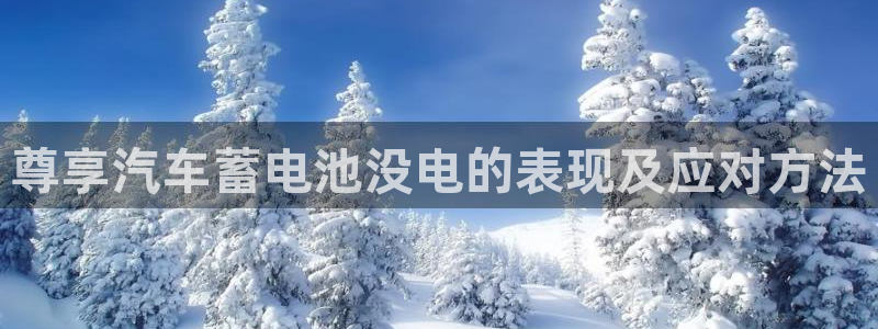 优发国际平台app下载官网