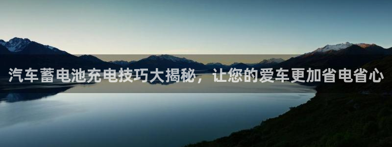 优发国际是真的吗：汽车蓄电池充电技巧大揭秘，让您的爱车更加省电省心