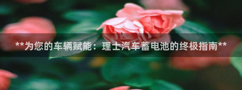 优发国际平台：**为您的车辆赋能：理士汽车蓄电池的终极指南**