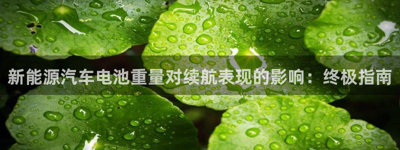 优发国际游戏官方网站入口：新能源汽车电池重量对续航表现的影响：终极指南