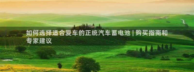 优发国际官网手机版下载苹果：如何选择适合爱车的正统汽车蓄电池 | 购买指南和
专家建议