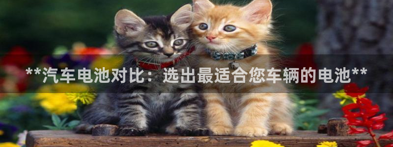 优发国际首页首页登录：**汽车电池对比：选出最适合您车辆的电池**