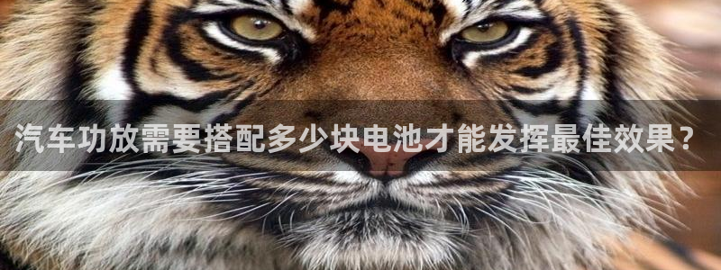 优发国际线上娱官网