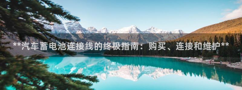 优发国际登录首页怎么设置：**汽车蓄电池连接线的终极指南：购买、连接和维护**