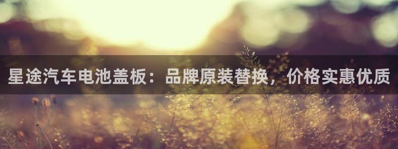 优发国际官方下载app：星途汽车电池盖板：品牌原装替换，价格实惠优质