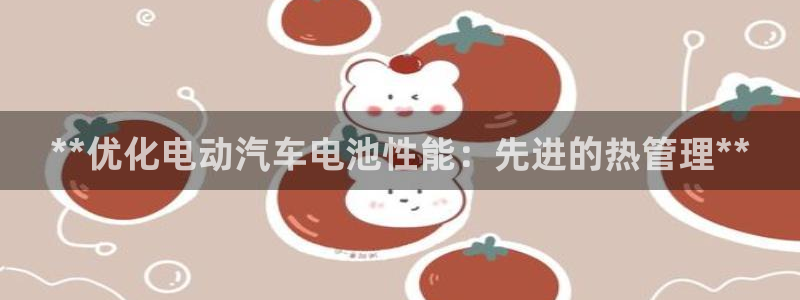 优发国际平台18：**优化电动汽车电池性能：先进的热管理**