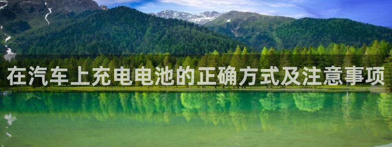 优发国际平台手机版下载：在汽车上充电电池