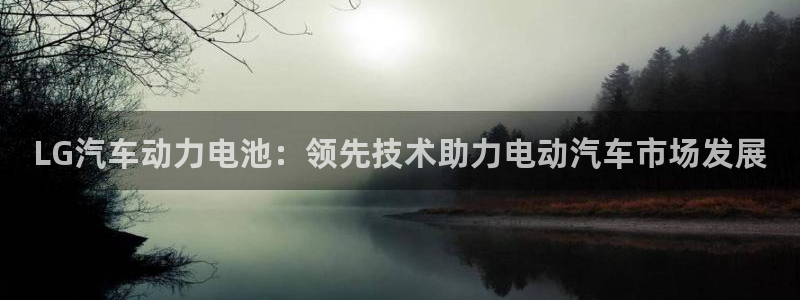 优发国际平台u8是什么软件：LG汽车动力