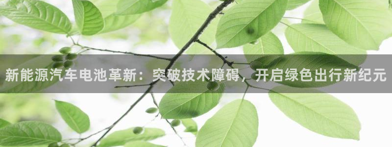 优发国际平台u8是什么公司：新能源汽车电池革新：突破技术障碍，开启绿色出行新纪元