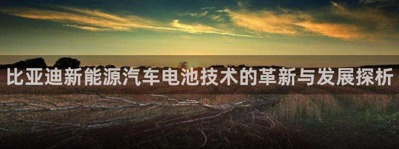 优发国际app官网下载安装苹果：比亚迪新能源汽车电池技术的革新与发展探析